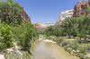 Zion NP