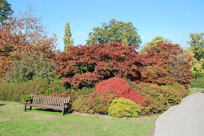 P1/14 - Exbury Gardens