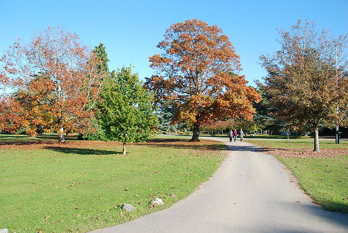 P8/14 - Exbury Gardens