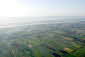 Ballooning 10/24